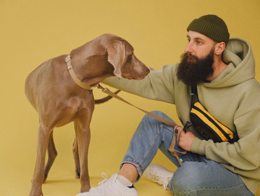 Ração para Cães Sênior (10kg)